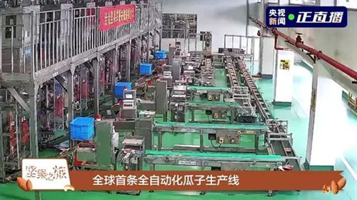 洽洽榮獲第二十屆中國食品安全大會多項殊榮，技術服務引領行業標準