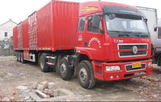 天津進口代理清關與國內運輸服務 巧克力、干果、橄欖油等貨物一站式解決方案